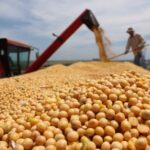 What is the Use of Potassium Fulvate Organic Fertilizer in Agriculture?