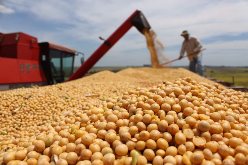 What is the Use of Potassium Fulvate Organic Fertilizer in Agriculture? Types of Potassium Fulvate Mineral Type Potassium fulvate is a pure natural mineral active potassium element fertilizer. It contains various nutrients such as trace elements, rare earth elements, plant growth regulators, and antiviral agents. This makes the nutrient supply more abundant and balanced, thereby preventing various physiological diseases caused by the lack of elements in crops. It makes the crops more robust, the leaves greener, and enhances their resistance to lodging. Potassium fulvate can timely replenish the nutrients lost in the soil, activate the soil, and reduce the occurrence of soil-borne diseases caused by excessive nutrient absorption. The product can completely replace potassium sulfate or potassium chloride and potassium magnesium sulfate with the same content, and it is natural and environmentally friendly. Organic Type .Fulvic acid is a component of humic acid, which is widely found in natural substances like peat, lignite, and weathered coal. .Using biochemical technology, fulvic acid is extracted from plants and then combined with potassium oxide to form potassium fulvate.