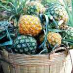 Does Potassium Fulvate Aid in Soil Nutrient Retention?